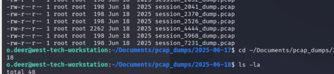 session_4444_dump.pcap — 2262 bytes vs 198 bytes for every other file